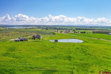 22259 County Road U 1, Cortez, CO 81321 - photo 5