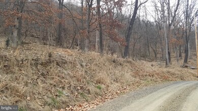 2 Trough Overlook Rd, Old Fields, WV 26845 - photo 4