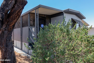 05 Cave Creek