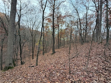 2400 Irish Ridge Rd, Philo, OH 43771 - photo 3