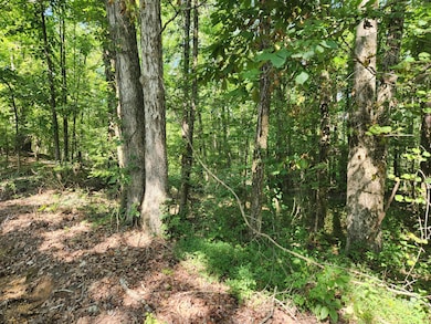 4.35ac State Park Rd, Tupelo, MS 38804 - photo 5