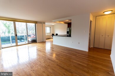 Takoma Overlook Condominium, Takoma Park, MD 20912 - photo 2