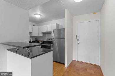 River Park unit N225, Washington, DC 20024 - photo 3