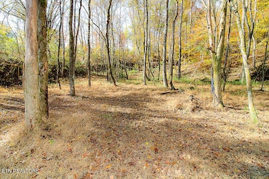 0 Sweetwater Vonore Rd unit 1321362, Sweetwater, TN 37874 - photo 7