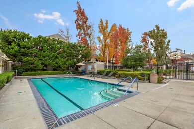 Sparkling Pool