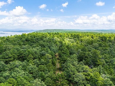 040 acers Maxwell Creek Rd, Clayton, OK 74536 - photo 2