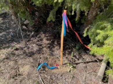 XXXX Burnt Valley Rd, Chewelah, WA 99109 - photo 5