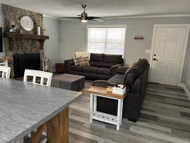 151 Padget Ln, Ellijay, GA 30540 - photo 7