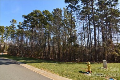 1541 Reflection Pointe Blvd unit 250, Belmont, NC 28012 - photo 4