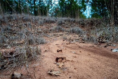 Tract 4 Acme Rd, Asher, OK 74826 - photo 5