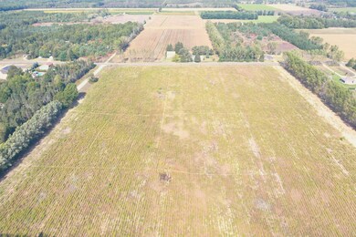 DJI_0284