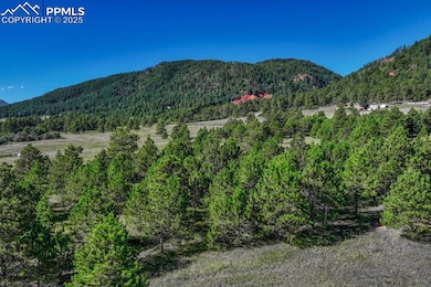 0 S Perry Park Rd unit 9483755, Larkspur, CO 80118 - photo 4