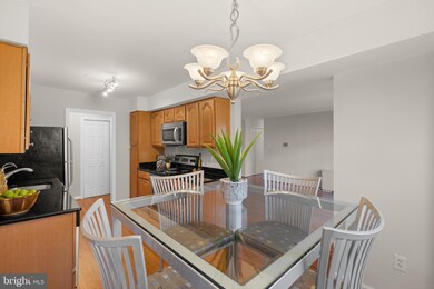 3336 Spring Ln unit A-26, Baileys Crossroads, VA 22041 - photo 7