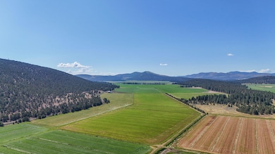 17025 Mitchell Rd, Klamath Falls, OR 97625 - photo 6