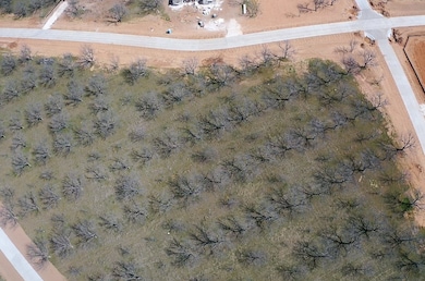 Beautiful Lot with endless possibilities, can you imagine being surrounded by these Pecan Trees?
