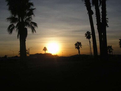 Back Yard Sunset #3!!