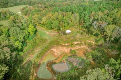 1975 Bethlehem Rd, Moscow, TN 38057 - photo 7