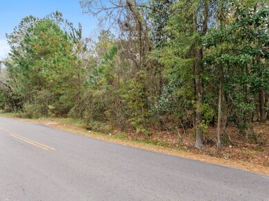 135 Kitfield Rd, Moncks Corner, SC 29461 - photo 7