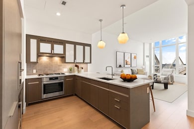 100 Lovejoy Place unit 12F, Boston, MA 02114 - photo 2