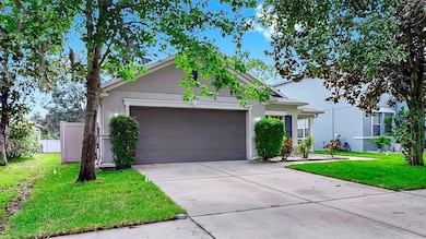 11249 Running Pine Dr, Riverview, FL 33569 - photo 6