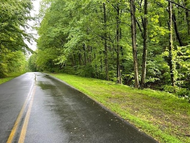 View from road along property line