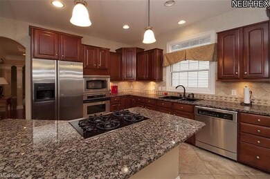 Gorgeous chef's kitchen