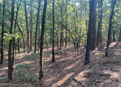 TBD Hoppers Pass, Wister, OK 74966 - photo 7