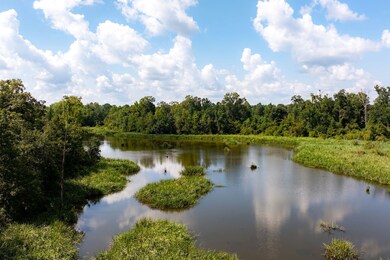 Gin Pond, Bluffton, GA 39824 - photo 5