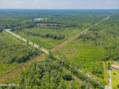 Near 949 General Howe, Riegelwood, NC 28456 - photo 3