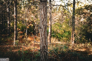 0 Camp Brooklyn Rd unit 10610288, Fitzgerald, GA 31750 - photo 3