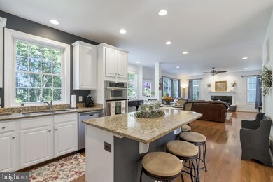 42076 Porch Light Dr, Aldie, VA 20105 - photo 7