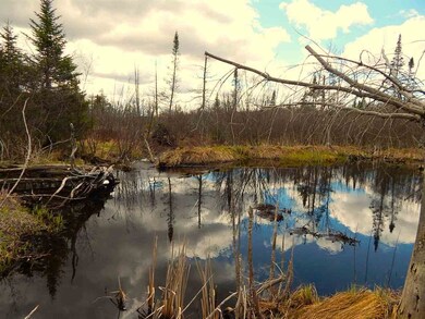 0 Howard Rd, Chandler Township, MI 49713 - photo 6