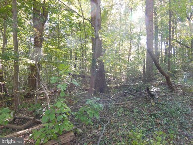 0 Shag Bark Rd unit 1009934052, Harpers Ferry, WV 25425 - photo 6