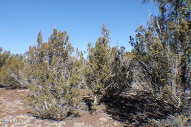 20170402043749961739000000-o