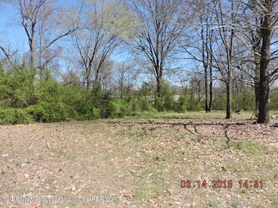 860 E Commerce St, Hernando, MS 38632 - photo 3