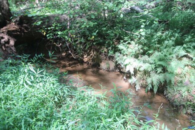 0 Seminole Trail unit 669157, Rochelle, VA 22738 - photo 7