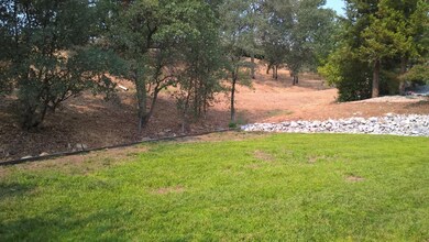 Beautiful wooded bakyard