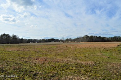 60.61 Acre Hwy 117 S, Burgaw, NC 28425 - photo 5