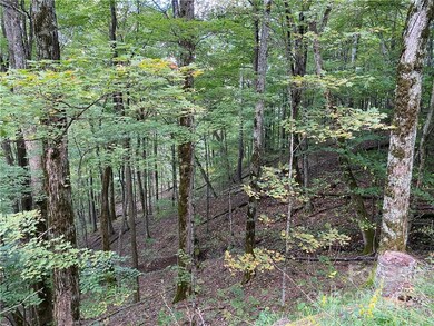 377 McKinney Gap Dr unit 377, Mars Hill, NC 28754 - photo 2