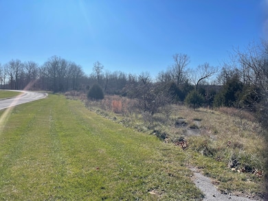 1 Paradise Rd, West Ozark Township, MO 65757 - photo 3