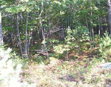Land/Lot.
