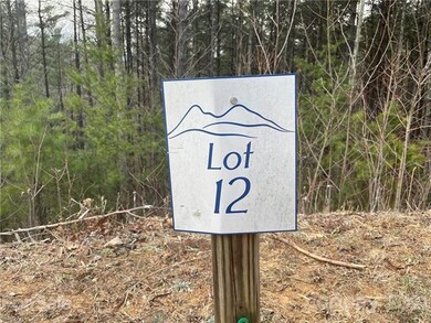 29 Tallwood Rd, Leicester, NC 28748 - photo 5