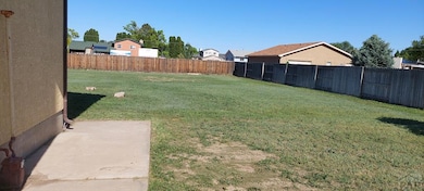Side and Back yard