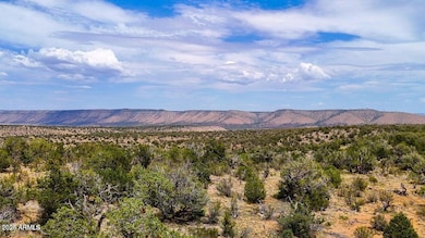 TBD Waterloo Way 1 83 Acres --, Seligman, AZ 86337 - photo 5