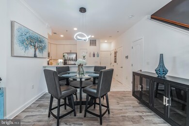 246 N Summit Ave unit 19, Gaithersburg, MD 20877 - photo 4