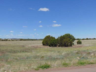 0 N 16th St unit 213147, Show Low, AZ 85901 - photo 3
