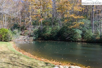 671 Greystone Dr, Blowing Rock, NC 28607 - photo 6