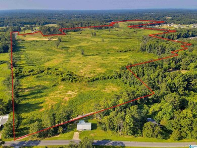 0 New Harmony Rd unit 1359959, Clanton, AL 35045 - photo 6