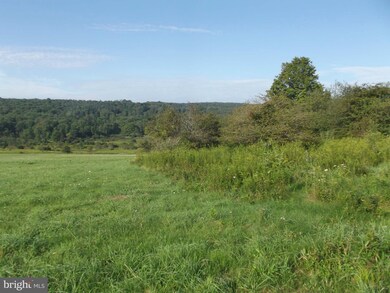 0 Schell Rd unit 1004428061, Elk Garden, WV 26717 - photo 7