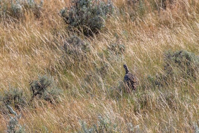 001 Milky Way Rd, Kemmerer, WY 83101 - photo 4